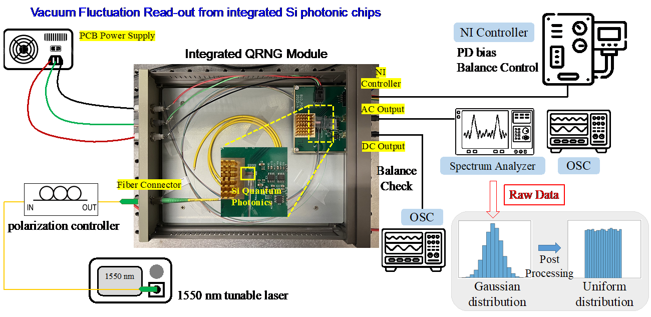 Silicon Photonics Homodyne Detection Module