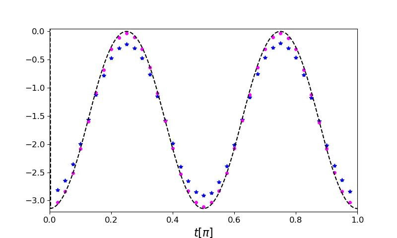 Probing dynamical entanglement and topology with a noisy intermediate-scale quantum computer