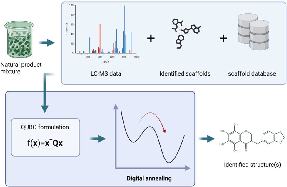 Quantum-Inspired Computing for Natural Product Structure Elucidation