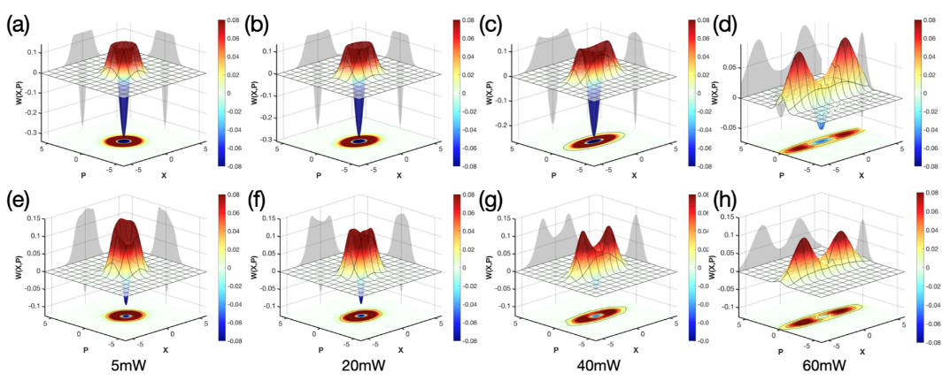 Generation of heralded optical cat states by photon-addition